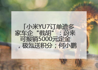 小米YU7订单遭多家车企“截胡”：蔚来可报销5000元定金，极氪送积分；何小鹏下单YU7，喊话雷军早点交付