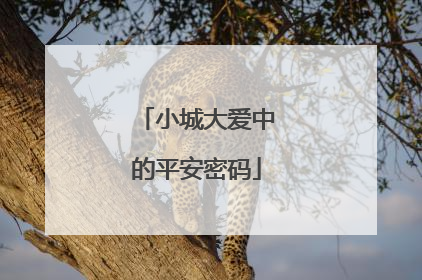 小城大爱中的平安密码