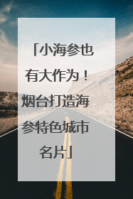 小海参也有大作为！烟台打造海参特色城市名片