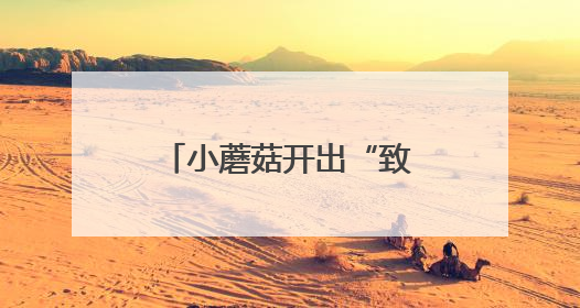 小蘑菇开出“致富伞”，撑起“致富半边天”