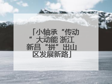小轴承“传动”大动能 浙江新昌“拼”出山区发展新路