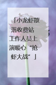 小龙虾散落收费站 工作人员上演暖心“抢虾大战”