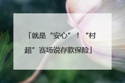 就是“安心”！“村超”赛场说存款保险