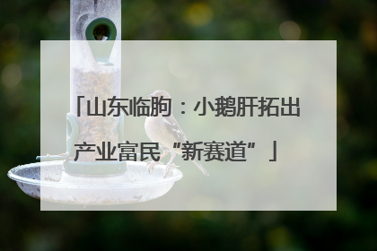 山东临朐：小鹅肝拓出产业富民“新赛道”