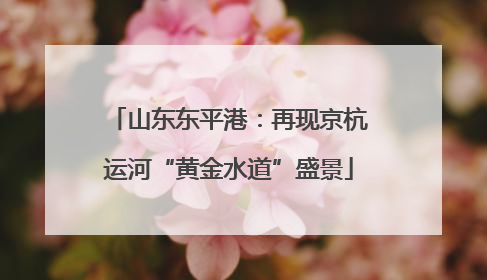 山东东平港：再现京杭运河“黄金水道”盛景