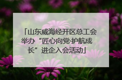 山东威海经开区总工会举办“匠心向党·护航成长”进企入会活动