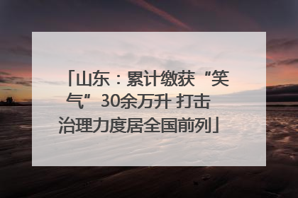 山东：累计缴获“笑气”30余万升 打击治理力度居全国前列