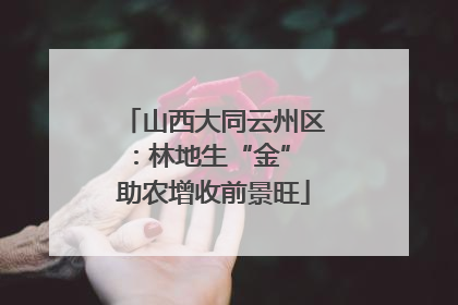 山西大同云州区：林地生“金” 助农增收前景旺