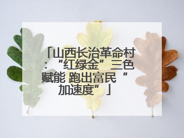 山西长治革命村：“红绿金”三色赋能 跑出富民“加速度”