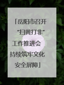 岳阳市召开“扫黄打非”工作推进会 持续筑牢文化安全屏障