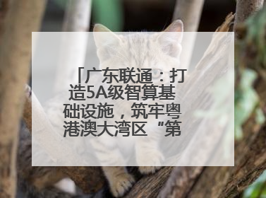广东联通：打造5A级智算基础设施，筑牢粤港澳大湾区“第一算力引擎”