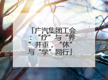 广汽集团工会：“疗”与“养”并重，“休”与“学”同行