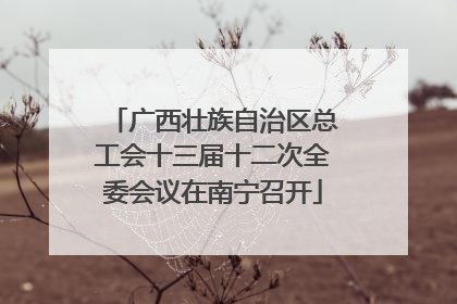 广西壮族自治区总工会十三届十二次全委会议在南宁召开