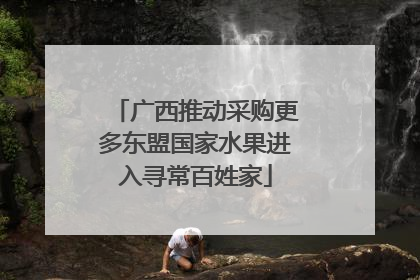 广西推动采购更多东盟国家水果进入寻常百姓家