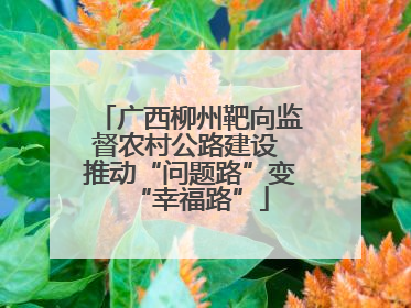 广西柳州靶向监督农村公路建设 推动“问题路”变“幸福路”