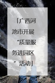 广西河池市开展“质量服务进园区”活动