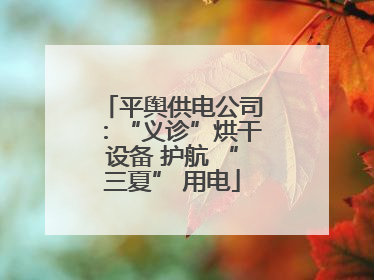 平舆供电公司：“义诊”烘干设备 护航 “三夏” 用电