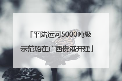 平陆运河5000吨级示范船在广西贵港开建