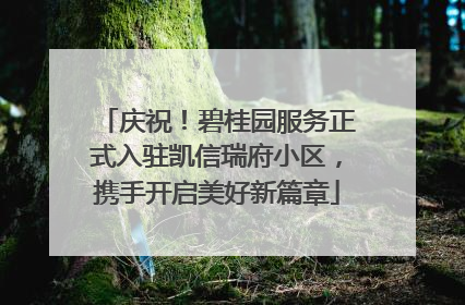 庆祝！碧桂园服务正式入驻凯信瑞府小区，携手开启美好新篇章
