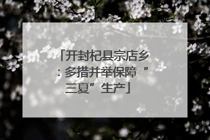 开封杞县宗店乡：多措并举保障“三夏”生产
