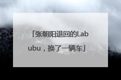 张朝阳退回的Labubu，换了一辆车
