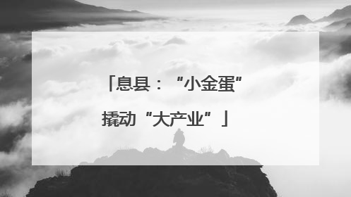 息县：“小金蛋”撬动“大产业”