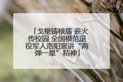 戈壁铸核盾 薪火传校园 全国模范退役军人洛阳宣讲“两弹一星”精神