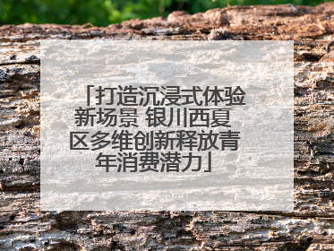 打造沉浸式体验新场景 银川西夏区多维创新释放青年消费潜力