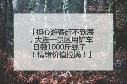 担心游客赶不到海，大连一景区用铲车日撒1000斤蚬子！情绪价值拉满！