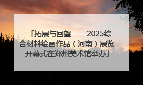 拓展与回望——2025综合材料绘画作品（河南）展览开幕式在郑州美术馆举办