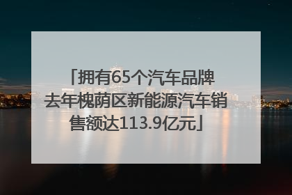拥有65个汽车品牌 去年槐荫区新能源汽车销售额达113.9亿元