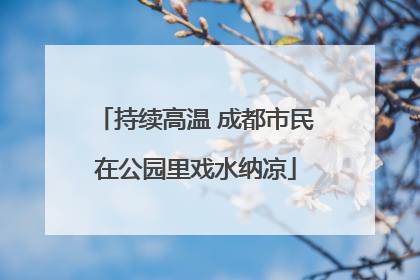 持续高温 成都市民在公园里戏水纳凉