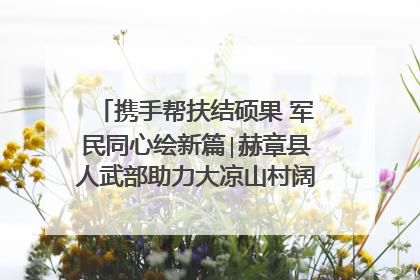 携手帮扶结硕果 军民同心绘新篇∣赫章县人武部助力大凉山村阔步乡村振兴路