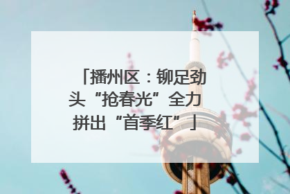 播州区：铆足劲头“抢春光”全力拼出“首季红”