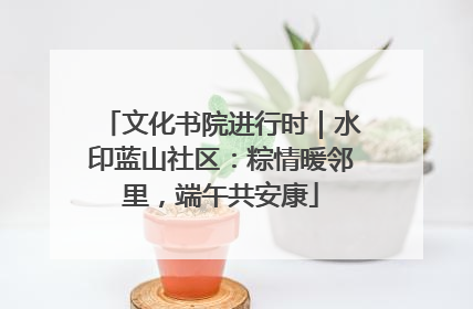 文化书院进行时｜水印蓝山社区：粽情暖邻里，端午共安康