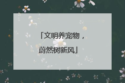 文明养宠物,蔚然树新风