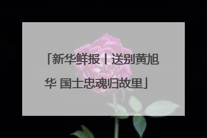 新华鲜报丨送别黄旭华 国士忠魂归故里