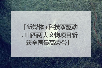 新媒体+科技双驱动，山西两大文物项目斩获全国最高荣誉