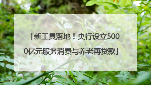 新工具落地！央行设立5000亿元服务消费与养老再贷款