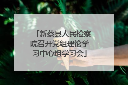 新蔡县人民检察院召开党组理论学习中心组学习会