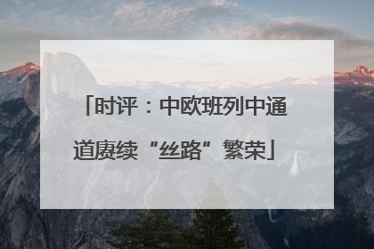 时评：中欧班列中通道赓续“丝路”繁荣