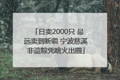 日卖2000只 最远卖到新疆 宁波慈溪非遗粽凭啥火出圈
