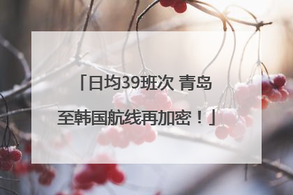 日均39班次 青岛至韩国航线再加密！