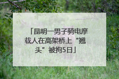 昆明一男子骑电摩载人在高架桥上“翘头”被拘5日