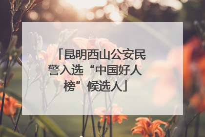 昆明西山公安民警入选“中国好人榜”候选人