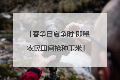 春争日夏争时 即墨农民田间抢种玉米