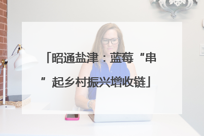 昭通盐津：蓝莓“串”起乡村振兴增收链