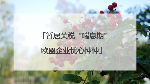 暂居关税“喘息期” 欧盟企业忧心忡忡