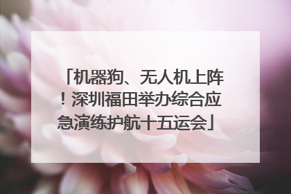 机器狗、无人机上阵！深圳福田举办综合应急演练护航十五运会