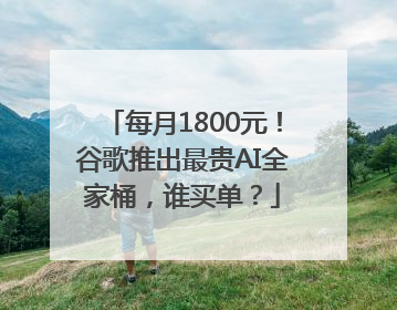 每月1800元！谷歌推出最贵AI全家桶，谁买单？